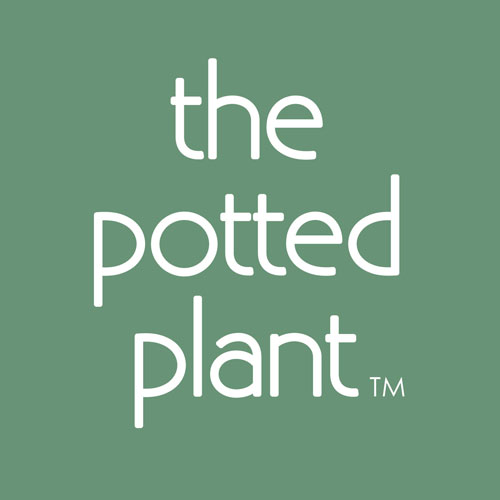 The Potted Plant -после 55