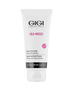 GiGi Sea Weed Soapless SoapДжи Джи Жидкое мыло для жирной и нормальной кожи 100 мл